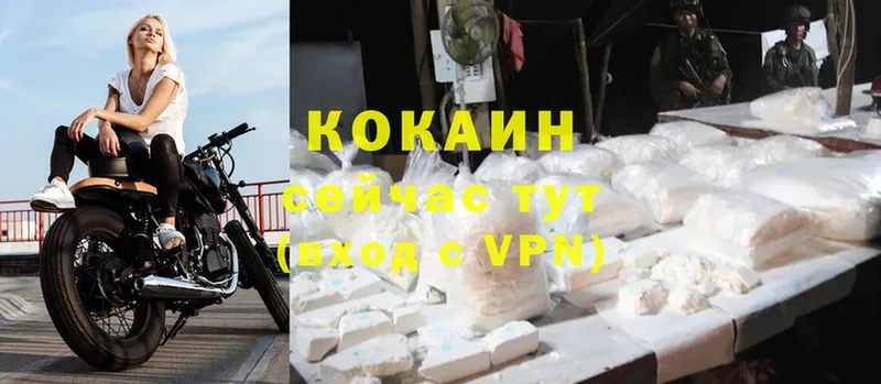 Кокаин FishScale  где купить наркоту  Великий Устюг 