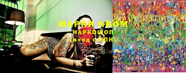 гашик Александровское