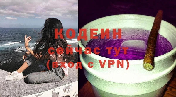 гашик Переславль-Залесский