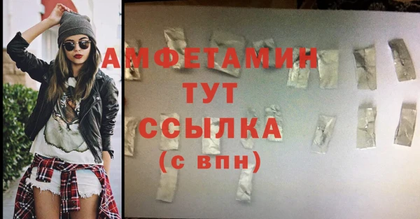 гашик Александровское