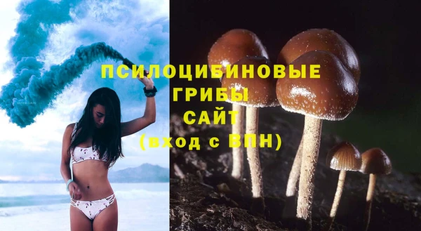 гашиш Пересвет