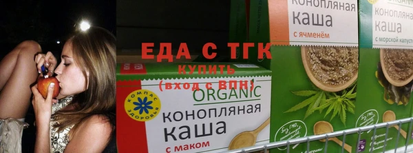 гашик Александровское