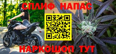 Альфа ПВП Будённовск