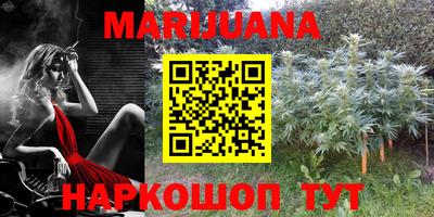 шишки Бузулук