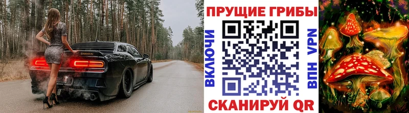 Галлюциногенные грибы Magic Shrooms  hydra ссылки  Великий Устюг 