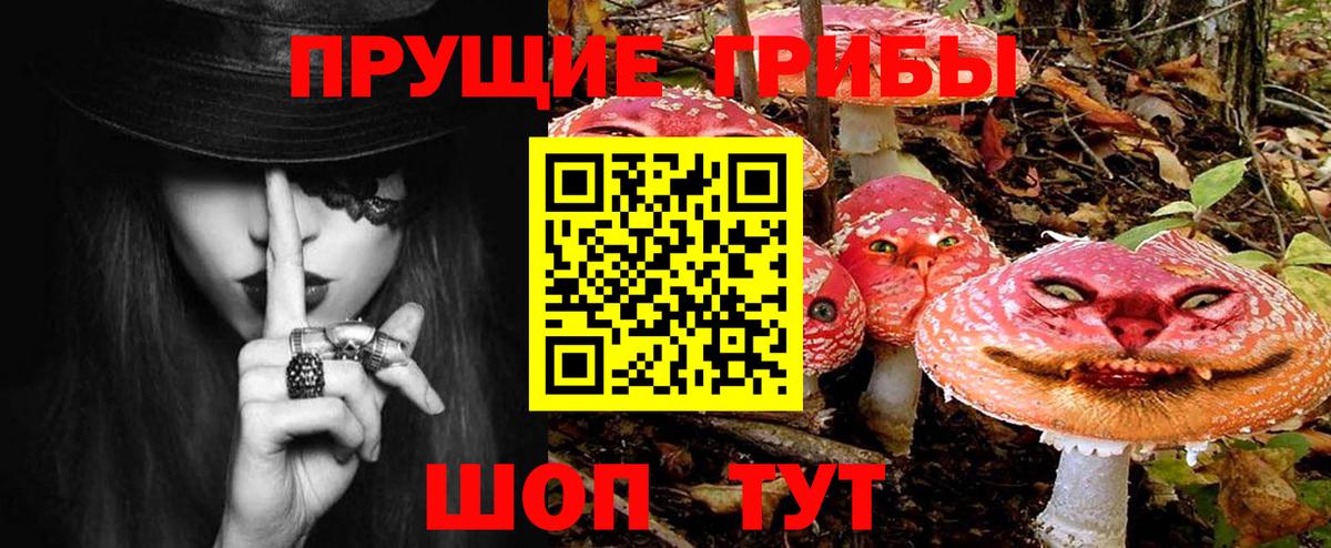 Галлюциногенные грибы Psilocybe Великий Устюг