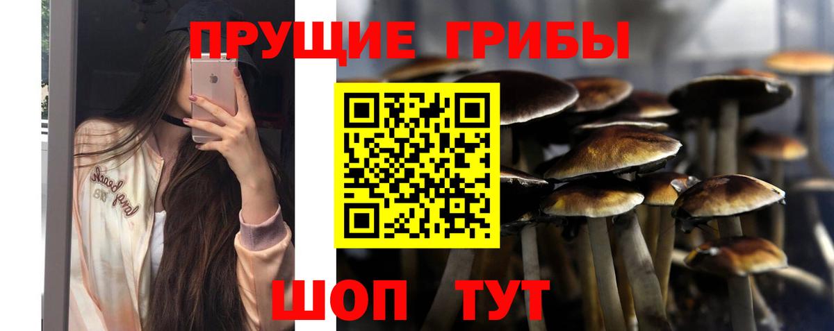 Псилоцибиновые грибы Cubensis  Псилоцибиновые грибы Magic Shrooms  Великий Устюг 