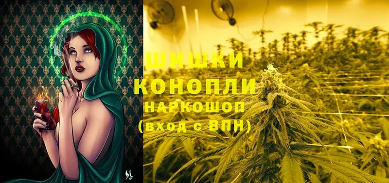 хочу Великий Устюг Бошки Шишки SATIVA & INDICA